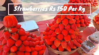 Hyderabad to Mahabaleshwar Road Trip  Panchgani  NH965  NH65  Western Ghats  Land of Strawberry [upl. by Yeknarf]