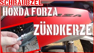 Honda Forza Zündkerzen Kontrolle und Wartung [upl. by Lot]