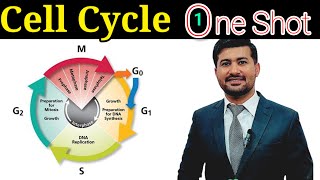 Cell cycle chapter 19 Fsc biology class 12 in one shot [upl. by Assillim]