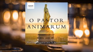 Notre Dame Magnificat Choir quotO Pastor Animarumquot by St Hildegard of Bingen with introduction [upl. by Adnahsar]