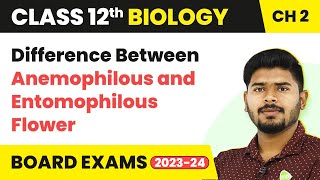 Difference Between Anemophilous and Entomophilous Flower  Sexual Reproduction in Flowering Plants [upl. by Eseekram]