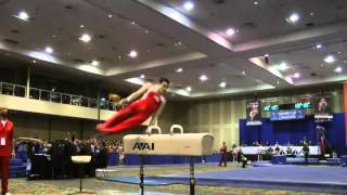 Pommel horse  Russian wendeswing over both pommels E [upl. by Nosrac]