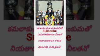 venkateswara swamy temple peteru 🙏 subscribe govinda [upl. by Ellertal]