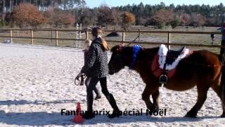 Concours déguisement Noël au Poney Club Ecuries dEscource [upl. by Aicnetroh394]