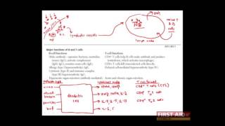 First Aid for the USMLE Step 1 IMMUNOLOGY  04  Adaptive immune responses [upl. by Etem]