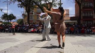 Cueca Chapaca Tarija  Bolivia 2017 [upl. by Nageek]