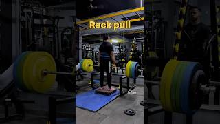 Day 59120 back thickness workout💪✅ gym bulking backworkout gymtips viralshorts trending [upl. by Row]