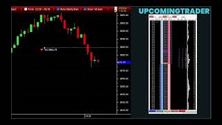 R Trader Pro Tutorial For Beginners [upl. by Clapp]