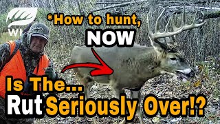 How To Hunt AFTER The Rut  is it seriously over [upl. by Kushner]