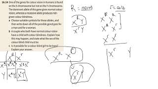 Chapter 163 SexLinked Genes Dihybrid Crosses and Autosomal Linkage [upl. by Reisman]