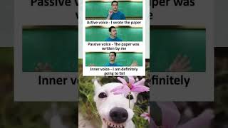 Dog Reacts to Students’ Inner Panic Over Passive vs Active Voice 😂🐶relatable shorts funny [upl. by Adnilec20]