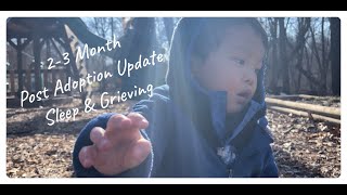 2023 International Korean Post Adoption 23 Month Update  Sleep amp Grieving [upl. by Mosier]