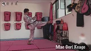 👊 Mae Geri Keage  Técnicas de Karate Do [upl. by Unity]