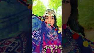 Zeba negaaram  زیبا نگارم  Shaqayeq Omid  love [upl. by Ewen]