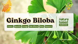 Ginkgo Biloba Maidenhair tree Health Benefits Dosage Side Effects and Research ginkgobiloba [upl. by Aiket]