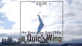 A Quick Wing  Freestyled sub250g Fixed Wing Build  835 FPV [upl. by Dahcir]