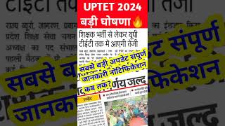 uptet notification 2024  uptet 2024 notification  uptet latest newsuptet shorts viral trending [upl. by Ewold]