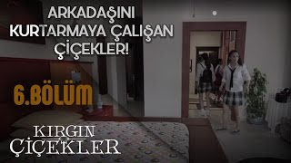 Kırgın Çiçekler 6Bölüm  Kaderi Kurtarmak İsteyen Kızlar Hırsızlık Yapıyor [upl. by Nwahsat]