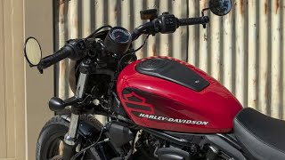 New 2025 HarleyDavidson Nightster Officially Launched [upl. by Godric]