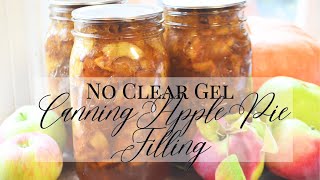 How to Make Canned Apple Pie Filling without Clear Gel  Apple Pie Filling Recipe Canned Pie Apples [upl. by Ococ960]