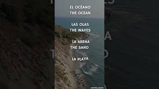 El océano  The Oceano vocabularioingles aprenderingles learnspanish [upl. by Scrivens]