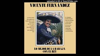 Vicente Fernandez  Las Mañanitas Epicenter [upl. by Nogem28]