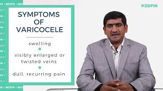 Understanding Varicocele Causes Symptoms and More [upl. by Leinod445]