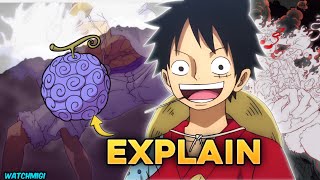 HOW Many Types of Devil Fruit in One Piece Explained in Hindi [upl. by Hailahk942]