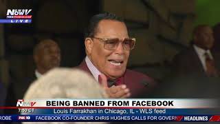 FACEBOOK BAN RALLY Louis Farrakhan in Chicago IL [upl. by Romulus311]