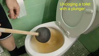 How to unclog a toilet with a plunger [upl. by Giacinta73]