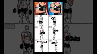 Dumbbell only TRICEP WORKOUT  Dumbbell Workouts Perfect MuscleArms workout at home or gym [upl. by Ruscher]