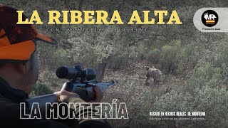 quotMONTERIA EN LA RIBERA ALTA CON MONTERÍAS RIQUELMEquot 21 de Enero 2023 en Almodóvar Ciudad Real [upl. by Eigroeg]