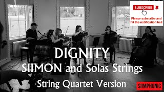 Dignity Deacon Blue  Acoustic String Quartet Version [upl. by Adiam]