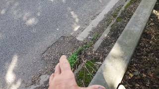 PETERBOROUGH CLEAN UP CAMPAIGN BOONGATE ROUNDABOUT SLIP ROAD [upl. by Fuhrman189]