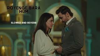 Royenge Bara Hum OST Slowed REverb  Sahir Ali Bagga  Pagal Khana OST RoyengeBaraHumOST [upl. by Esom]