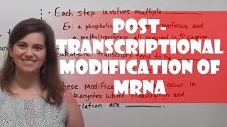 PostTranscriptional Modification of PremRNA [upl. by Hannie]