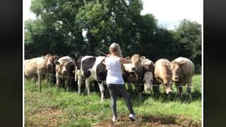 Máiréad Nesbitt playing for the Cows in Ireland  Celtic Woman [upl. by Nelleyram]