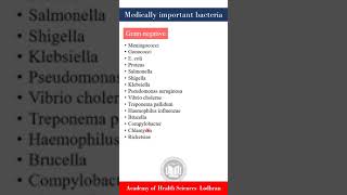 Medically important bacteria  Microbiology  By Imran Yaseen [upl. by Cayla733]