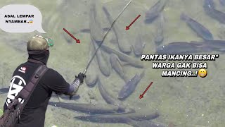 Mengerikan Saat mancing nemu sarang ikan gabus monster berkumpul [upl. by Nesnar]