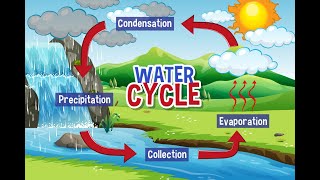 how the water cycle works  hydrological cycle explained [upl. by Ricoriki652]