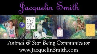 About Jacquelin Smith  Telepath Psychic Hybrid  Experiencer [upl. by Aicirpac]