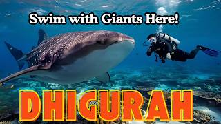 Dhigurah Maldives’ Hidden World Dive into Mysteries with Giants  Top Travel [upl. by Nhguav]