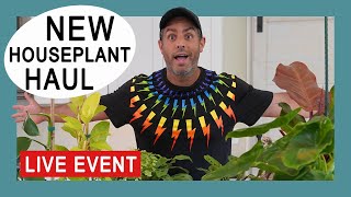 New Houseplant Haul July 2021 SO MANY NEW PLANTS liveevent [upl. by Korey]