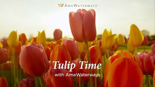 Tulip Time River Cruise with AmaWaterways [upl. by Aeht]