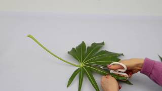 Ikebana Tips by Junko 14 modifying leaves [upl. by Ilaire61]