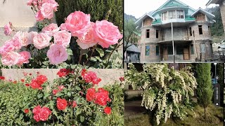 Glimpses of Beautiful Kashmir 🌹🌹🌹  కాశ్మీర్ అందాలు [upl. by Aneert]