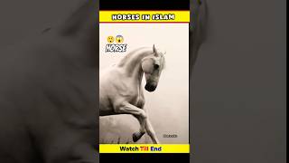 horses 🐎 horse riding 🐎 beautiful horse horse horseriding facts shorts ghoda [upl. by Aniwde]