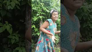 akashe lokko tara 🤩🤩 YouTube video vairalshortasandhya [upl. by Nagiem]