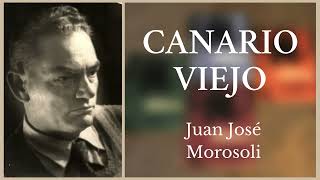 Canario Viejo ‐ Juan José Morosoli [upl. by Llesram]