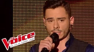 Starmania – Le blues du businessman  Maximilien Philippe  The Voice France 2014  DemiFinale [upl. by Seyler]